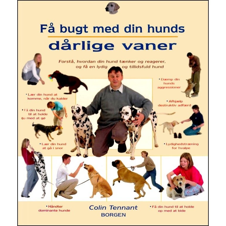 Få bugt med din Hunds dårlige Vaner,