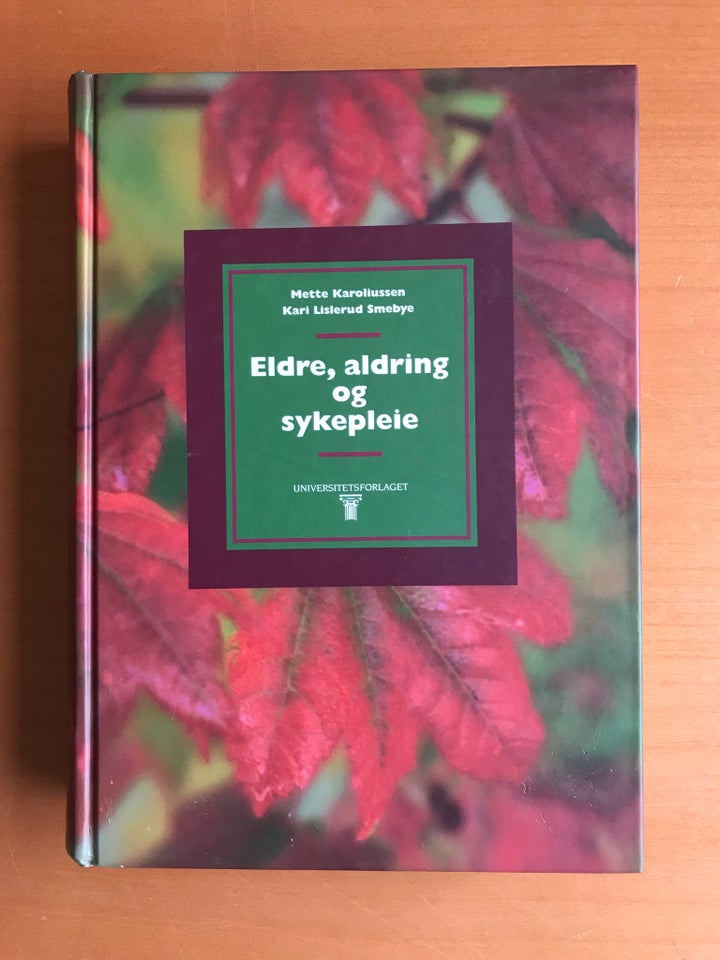 Eldre, aldring og sykepleie, af