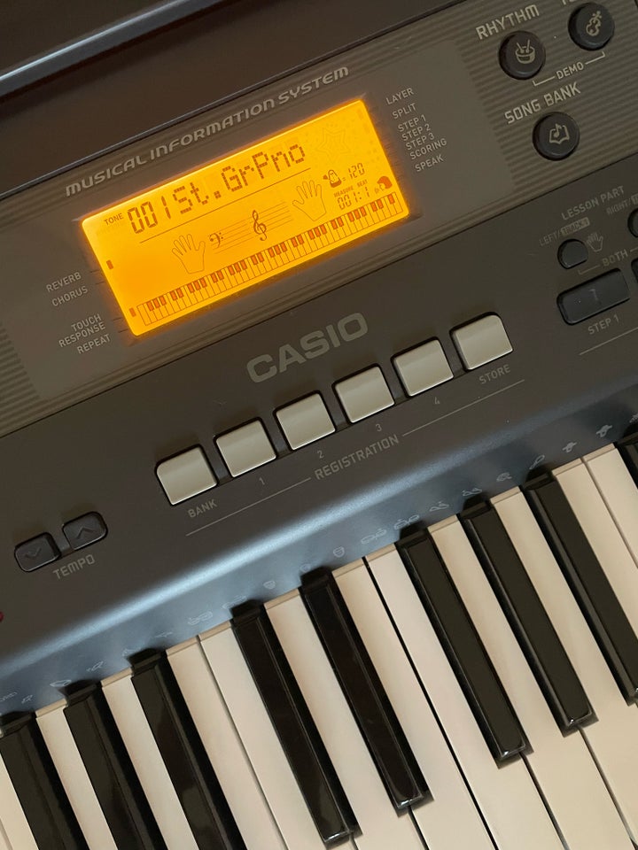 Keyboard, Casio Wk110