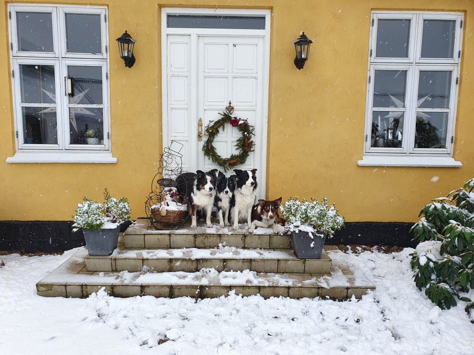 Væglampe Nordlux