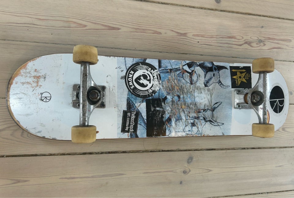 Skateboard