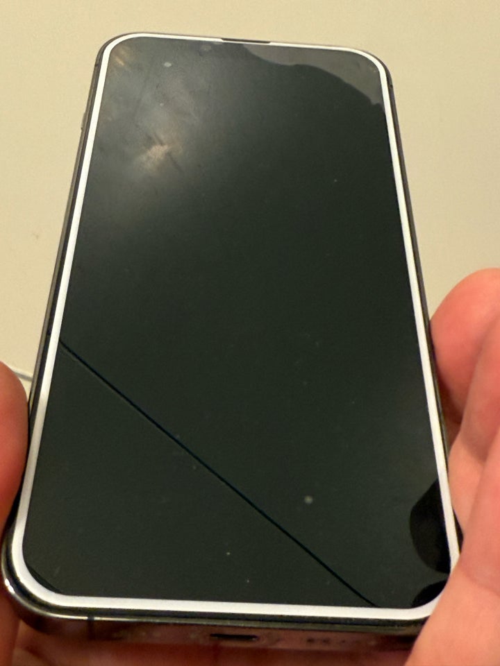 iPhone 13 Pro, 256 GB, grå