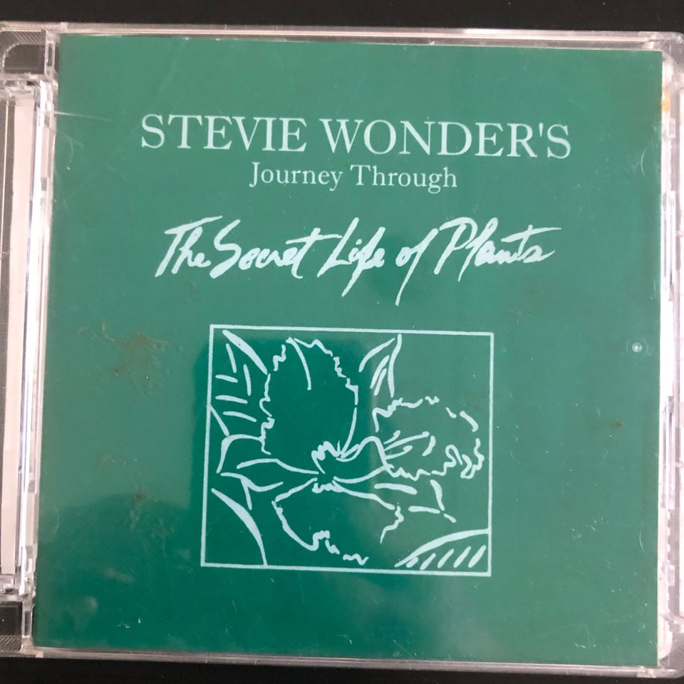 Stevie Wonder: Stevie Wonder's