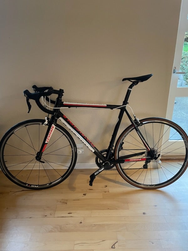 Herreracer, Principia, 56 cm stel