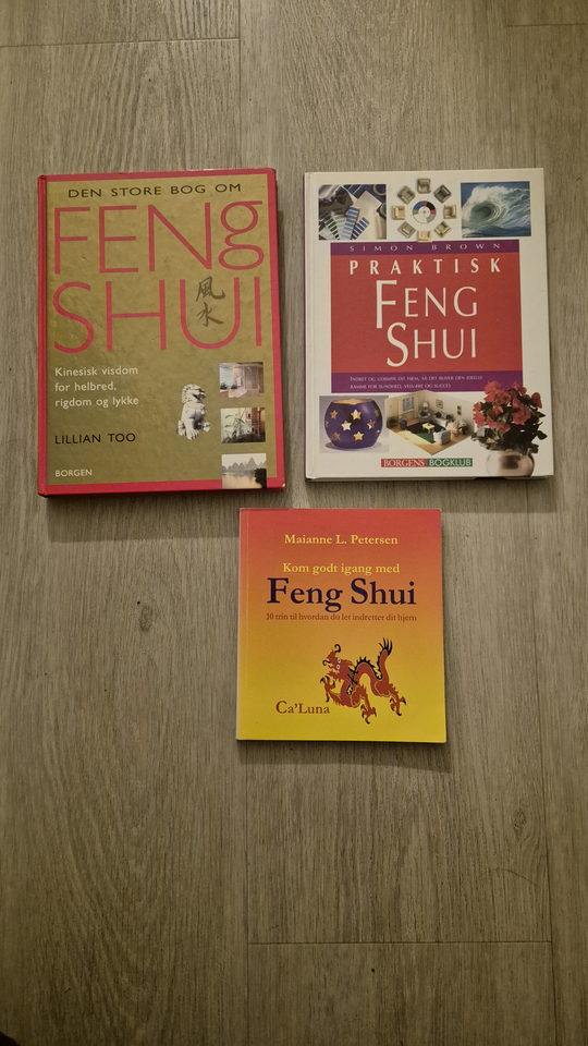 Feng Shui, emne: filosofi