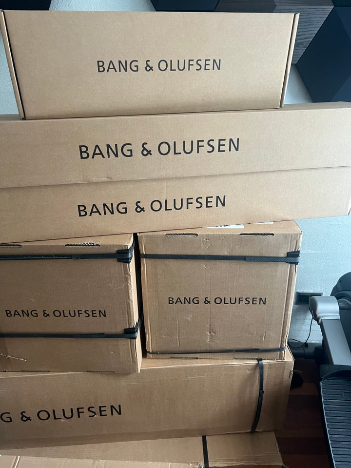 Højttaler Bang  Olufsen BeoLab