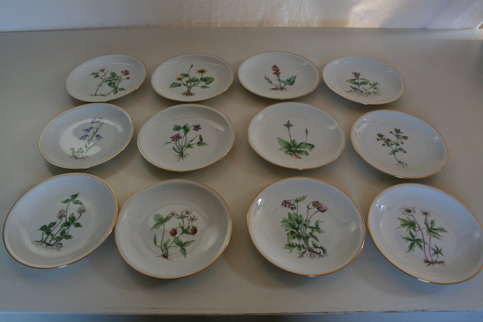 Porcelæn Tallerkner m "Flora