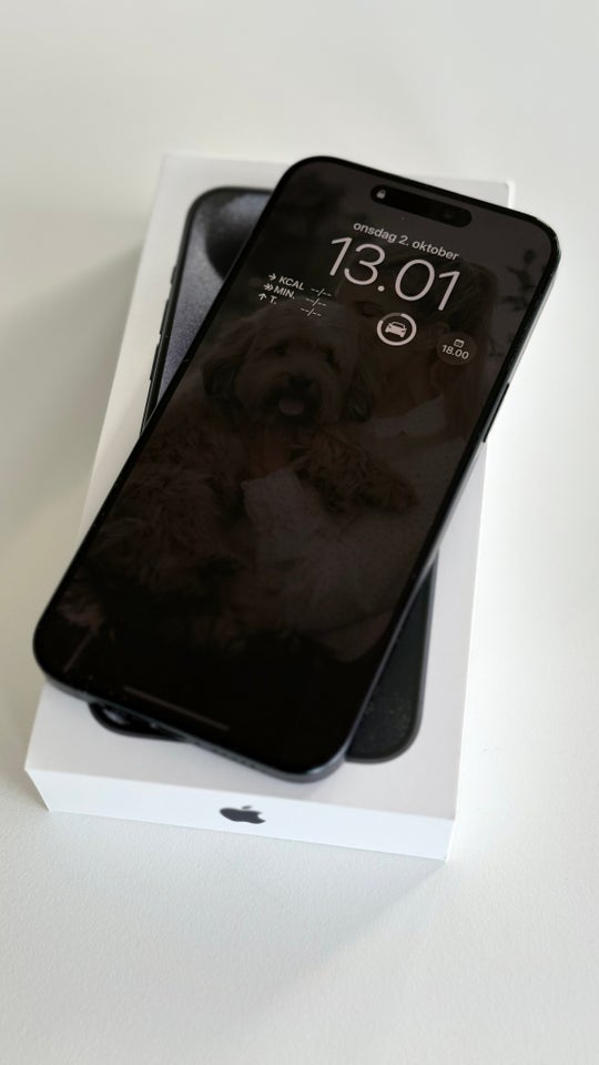 iPhone 15 Pro Max, 256 GB, blå