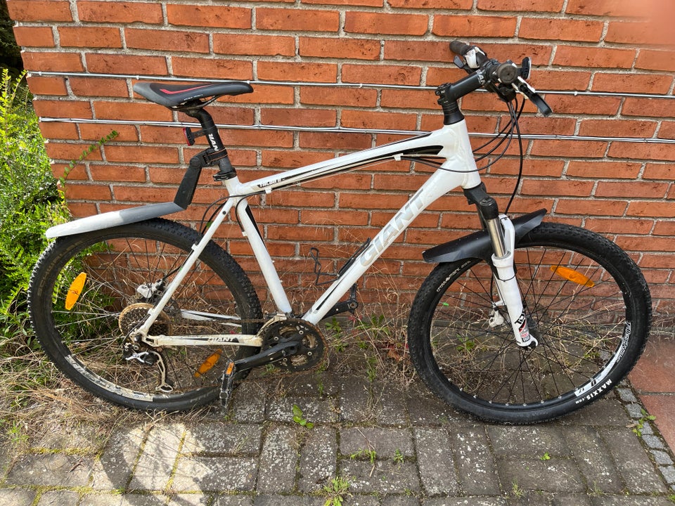 Herrecykel Giant Mtb 51 cm stel