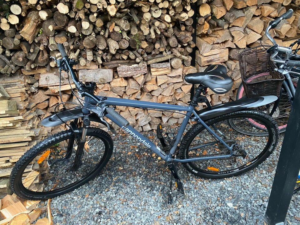 Cannondale anden mountainbike