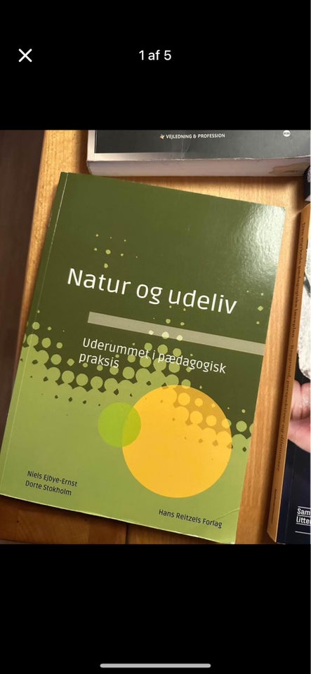 Uderummet i pædagogisk praksis,