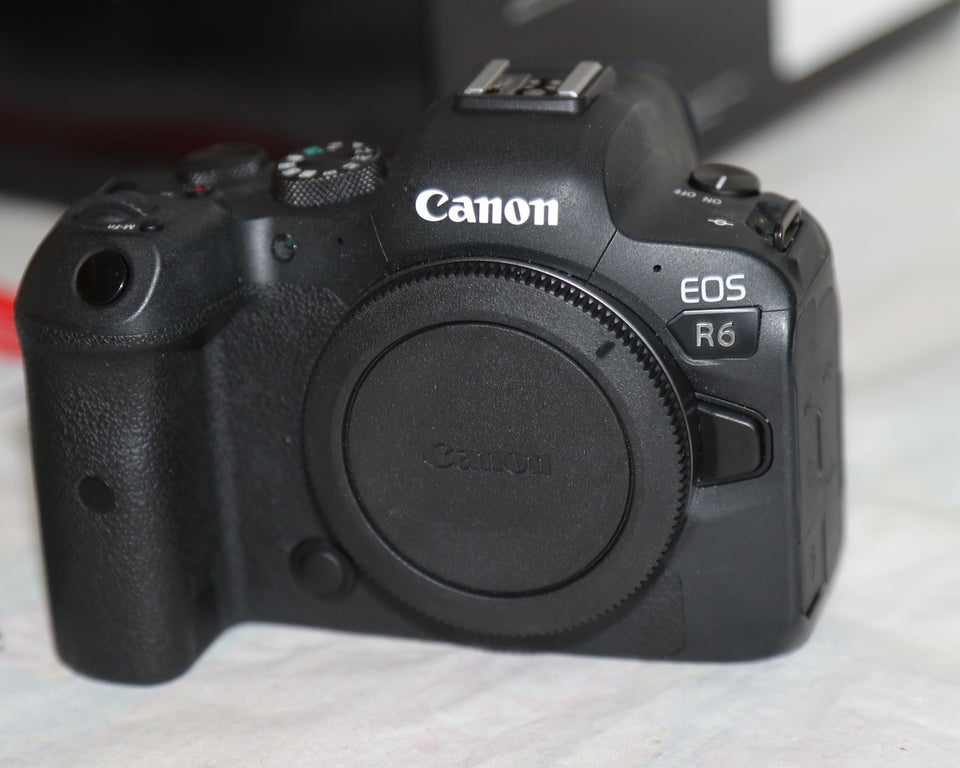 Canon, EOS R6, 20.1 megapixels