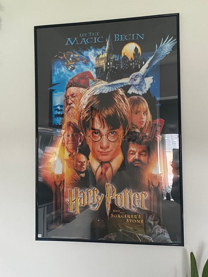 Plakat Harry Potter motiv: Harry