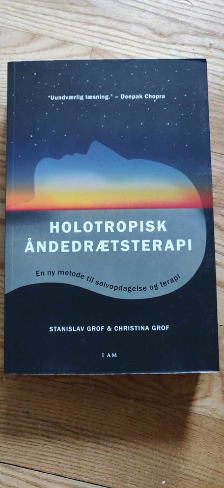 Holotropisk Ånderætsterapi,