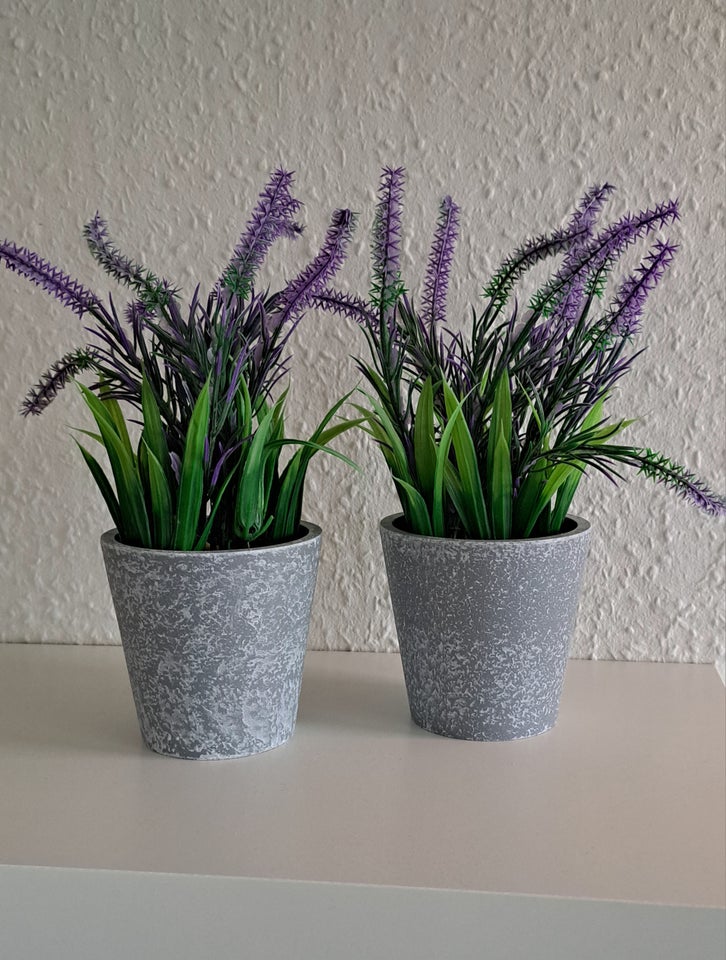 Lavendel blomster pynt