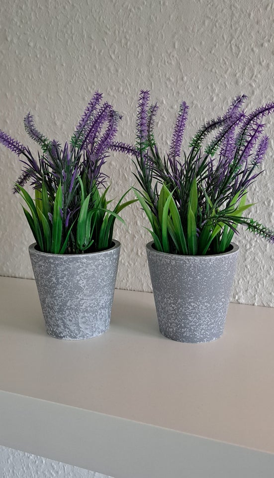 Lavendel blomster pynt