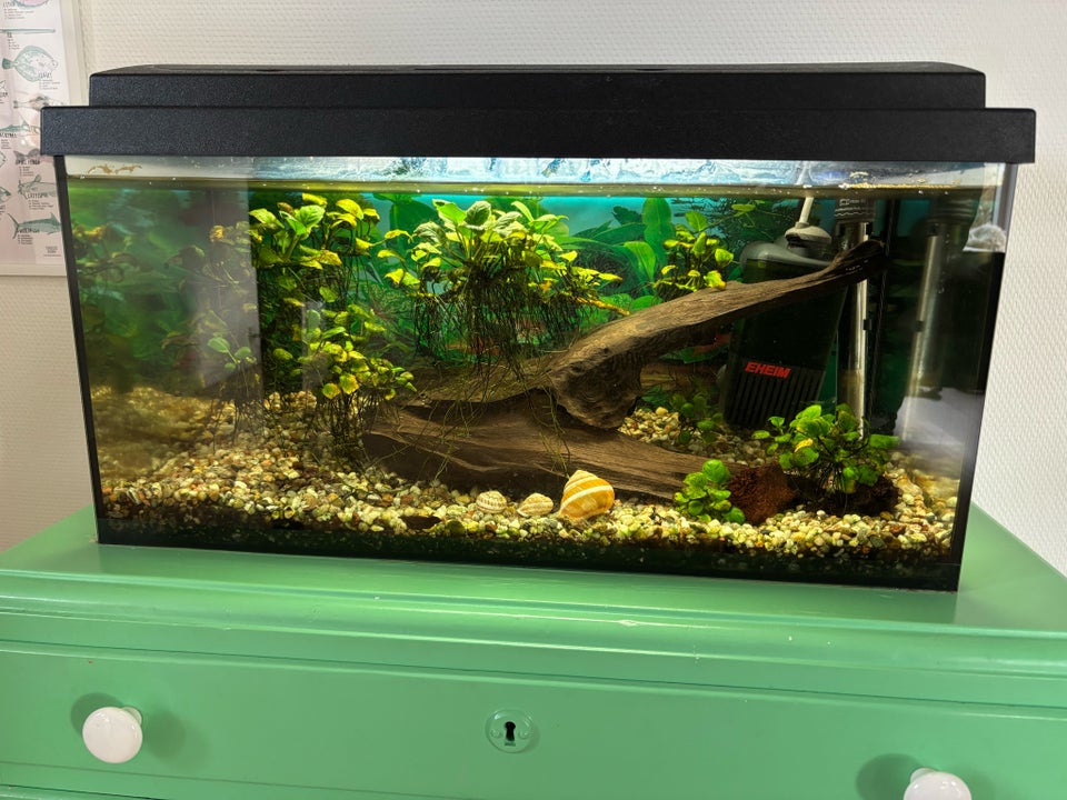 Akvarium, 60 liter