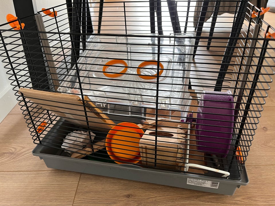 Hamster 1 år