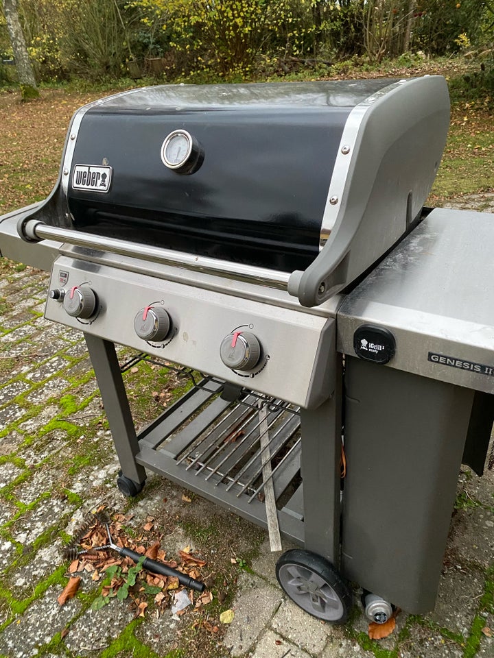 Gasgrill, Weber Genesis Ii