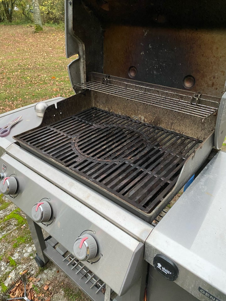 Gasgrill, Weber Genesis Ii