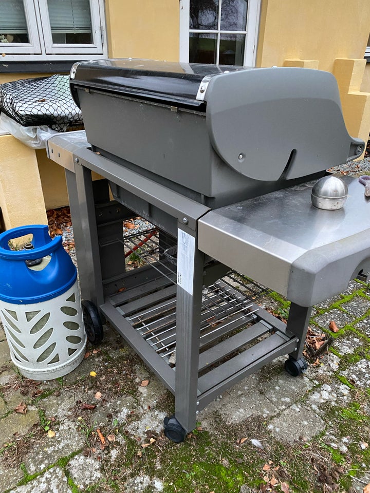 Gasgrill, Weber Genesis Ii