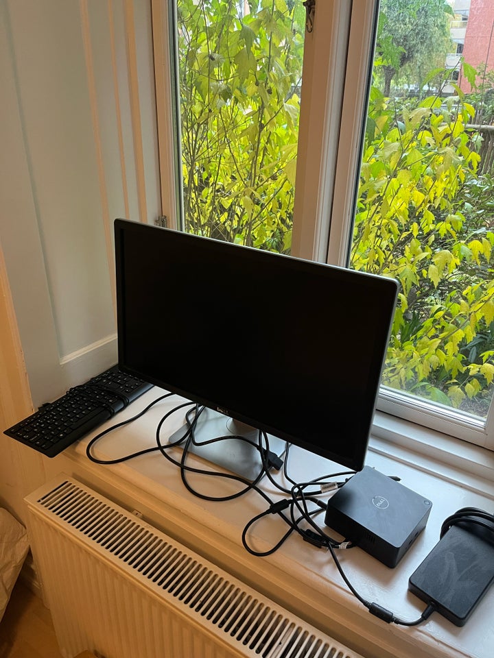 Dell Monitor + Dell docking station