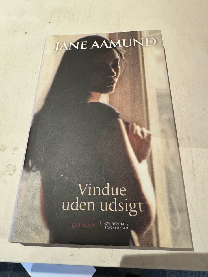 Vindue uden udsigt, Jane Aamund ,