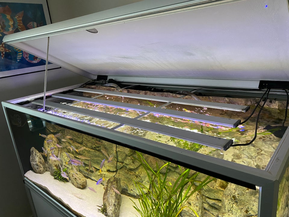 Akvarium, 720 liter, b: 160 d: 75 h: