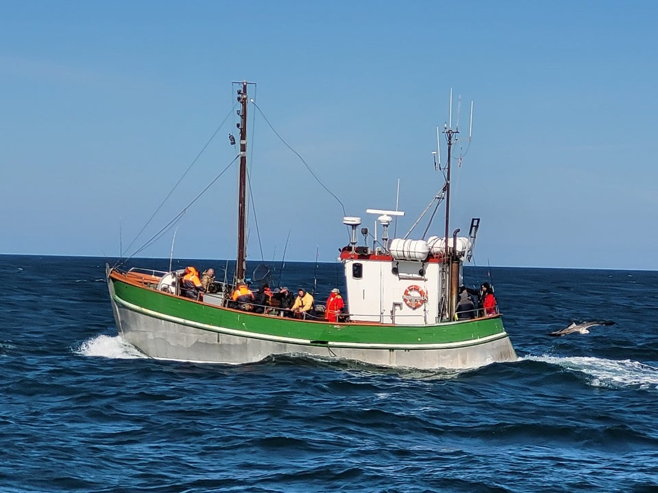 Kutter / Turbåd sælges