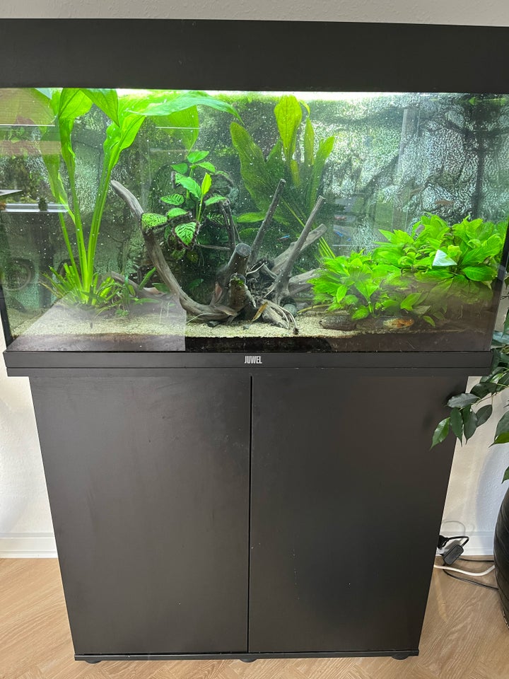 Akvarium, 120 liter