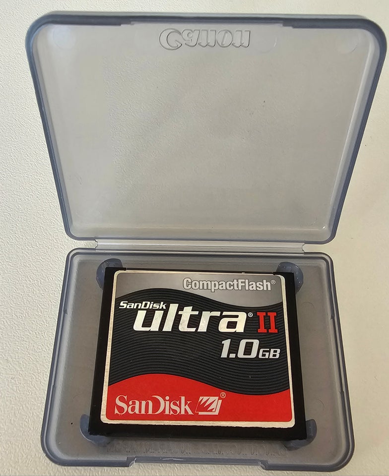 CompactFlash, SanDisk, 1 GB