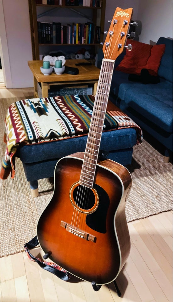 Western, Washburn D10S TS