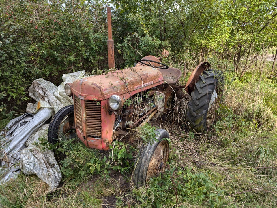 Havetraktor, Ferguson