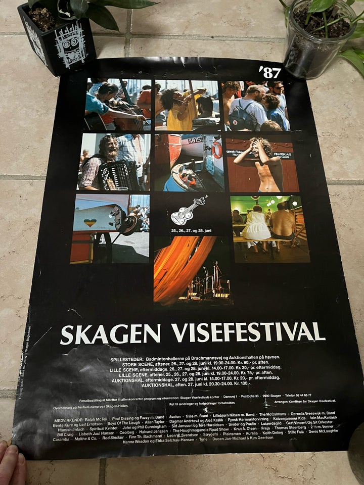 Plakat motiv: Skagen