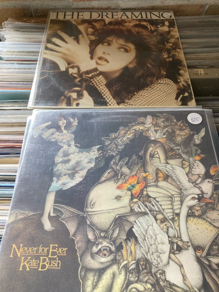 LP, Kate Bush