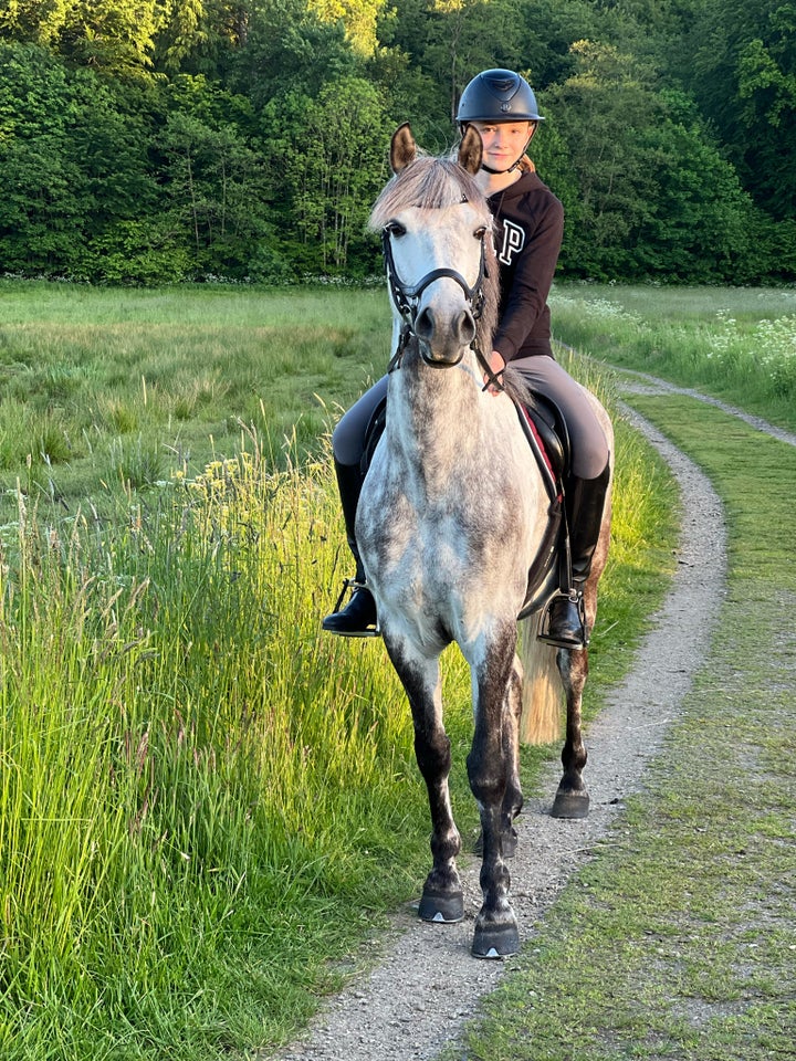 Blanding vallak 11 år