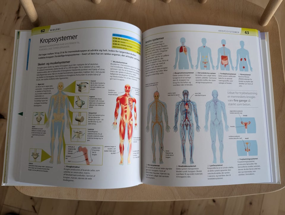 Hjælp dit barn med Biologi, kemi og