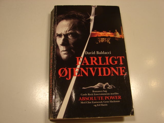 Farligt øjenvidne, David