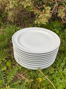 Porcelæn Middags tallerken 