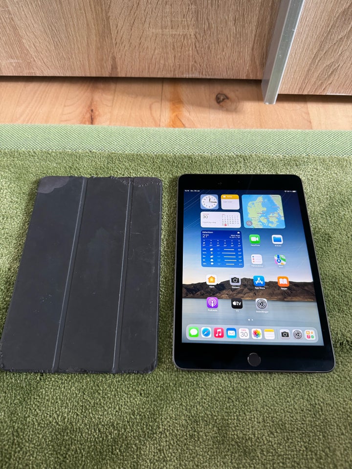 iPad mini 5 64 GB Perfekt