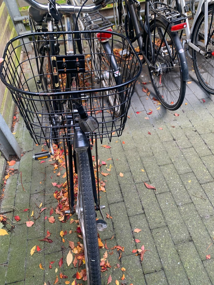 Damecykel, Raleigh, Tourist de