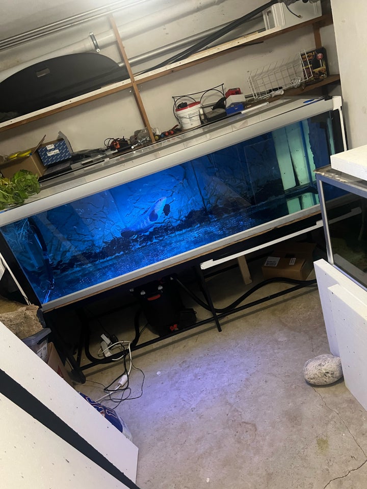 Akvarium 720 liter b: 200 d: 60 h: