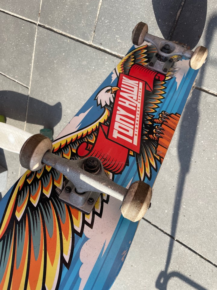 Skateboard, Tony Hawk