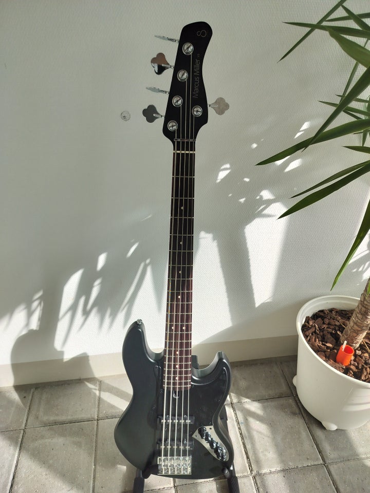 Elbas Sire Marcus Miller V3-5BLK