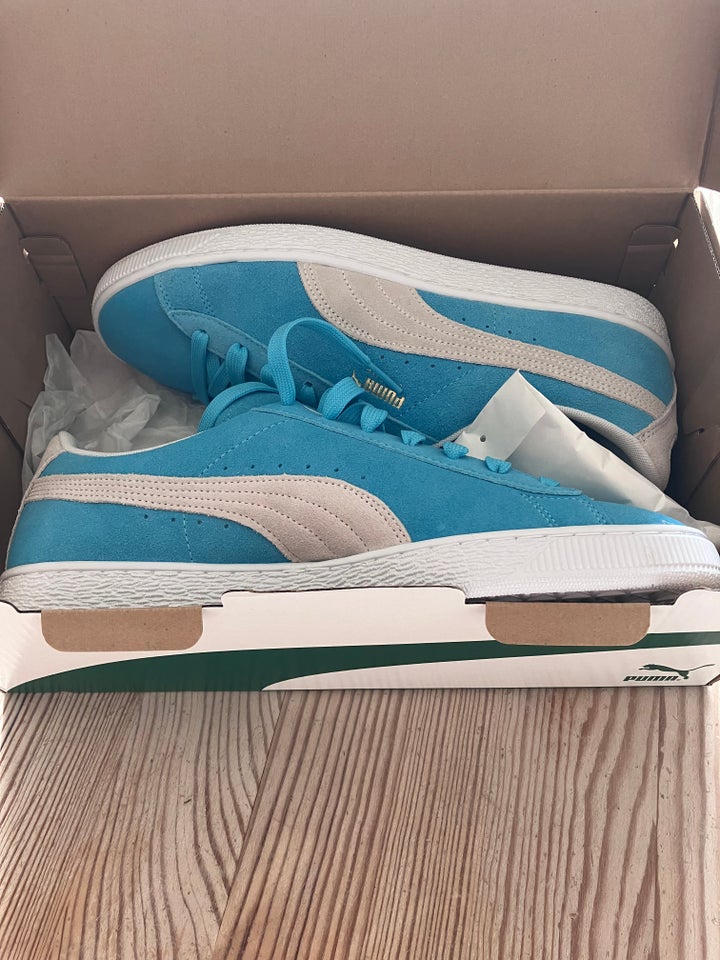 Kondisko, str. 44,5, Puma