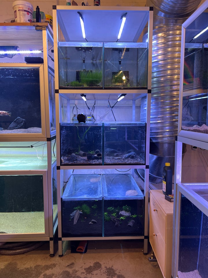 Akvarium, 54 liter