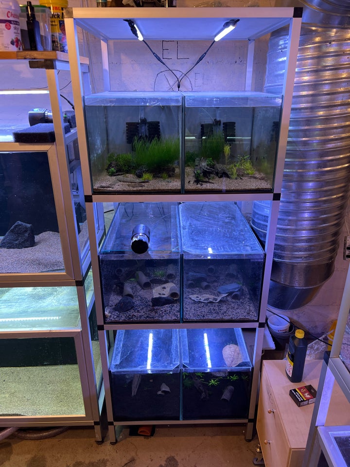 Akvarium, 54 liter