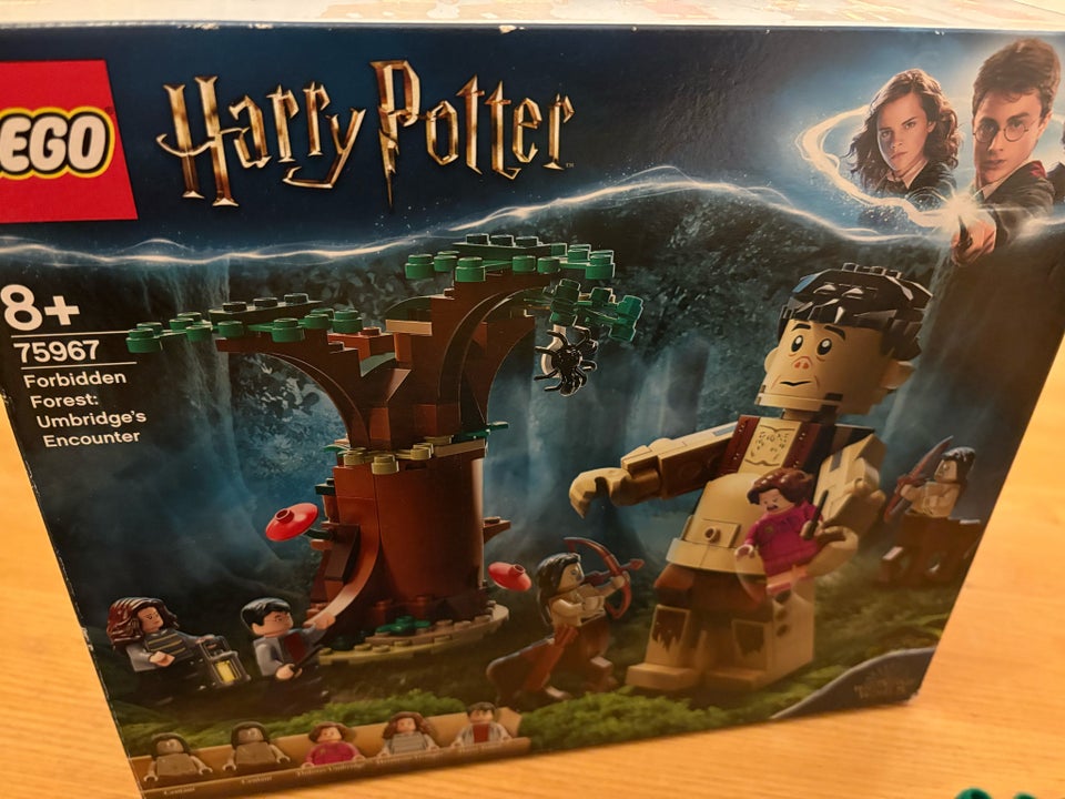 Lego Harry Potter, Forbidden