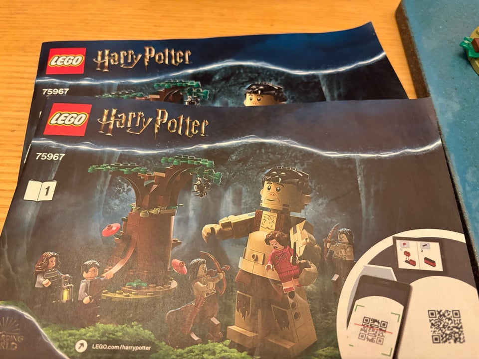 Lego Harry Potter, Forbidden