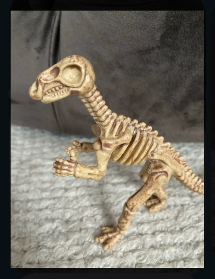 Figurer, Dinosaur skelet, .